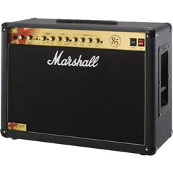 raven rg100h half stack