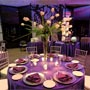 purple reception